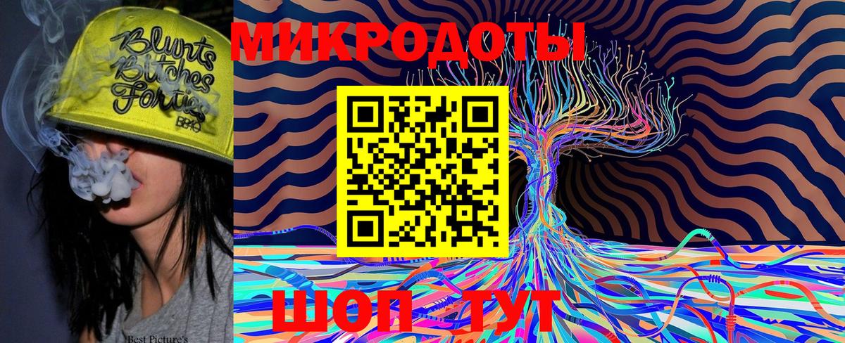 Галлюциногенные грибы Psilocybine cubensis Усинск